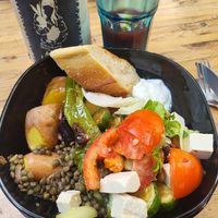  at Vegan Surf Camp in Moliets