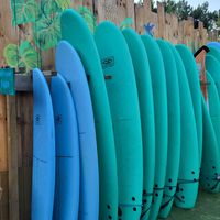  at Vegan Surf Camp in Messanges