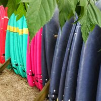 Surf boards at Vegan Surf Camp in Moliets