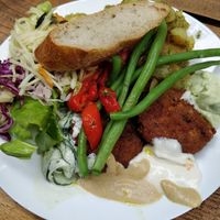 Yummy at Vegan Surf Camp in Moliets