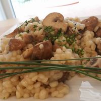 Mushroom risotto at Leaf Food in Mannheim