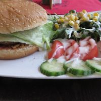 veggie burger with side salad (vegan) at VeGonas in Bielefeld