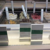 Bad photo of several sorbets that are vegan. at Vis a Vis Vincek Cake and Ice Cream in Zagreb