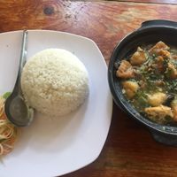 braised eggplant with deep fried tofu with rice at Noodle & Roll in Hanoi