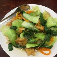 Stir fry noodle & vegetable . Bland  at Noodle & Roll in Hanoi