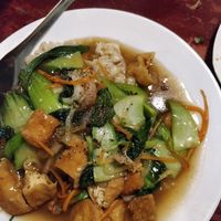 Pho noodles which were slimy and salty at Noodle & Roll in Hanoi