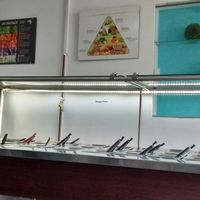 salad bar at Vegan Bowl in Bogota