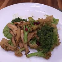 Trumpet Mushroom Entree at Terra Bistro in Vail