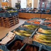 fresh vegs in shop at BE O Versmarkt in Ghent