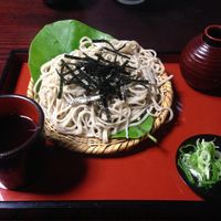Plain vegan zaru soba at Ebisu Soba in Takayama
