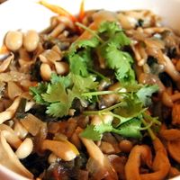 Perfect mushroom salad had so much taste.  at Taboon in Koh Phangan