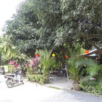 Taboon at Taboon in Koh Phangan