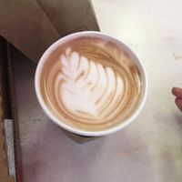 Mocha at Dottie's Donuts - Springfield Ave in Philadelphia