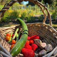   at Pebble Cove Farm Inn in Orcas Island