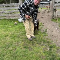   at Pebble Cove Farm Inn in Orcas Island