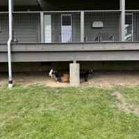   at Pebble Cove Farm Inn in Orcas Island