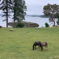 Paradise  at Pebble Cove Farm Inn in Orcas Island