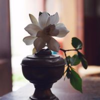 Decor of Stardust at Stardust in Kyoto