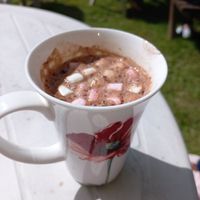 Vegan hot chocolate with vegan marshmellows at Foal Farm Tea Room in Westerham
