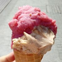 hazelnut and some sorbet at Lodziarnia Lody na Okraglo in Lodz