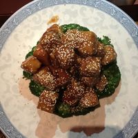 Sesame tofu  at Chengdu Center City 成都 in Philadelphia