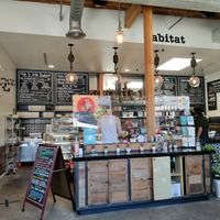 Interior at Habitat Coffee Shop in Los Angeles