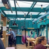 Garden at Bonobo Cafe in Aberdeen
