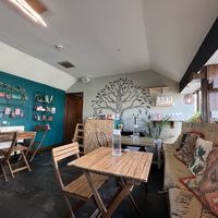 Indoor seating   at Bonobo Cafe in Aberdeen