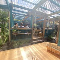   at Bonobo Cafe in Aberdeen