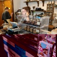 counter at Bonobo Cafe in Aberdeen