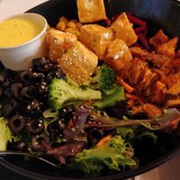  at Copper Branch - Mont-Royal in Montreal