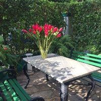 Beautiful patio in front that we sat in briefly while awaiting our table at Starbien in Havana