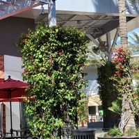 Beautiful Day To Enjoy Our Smoothie Outside. at Nekter Juice Bar in Tempe