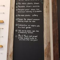 Environmental company at Under the Mango Tree in Miami Beach