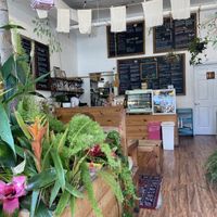 Interior at Under the Mango Tree in Miami Beach