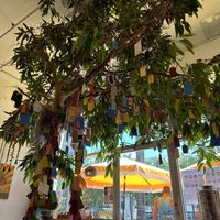   at Under the Mango Tree in Miami Beach