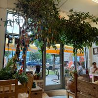  at Under the Mango Tree in Miami Beach