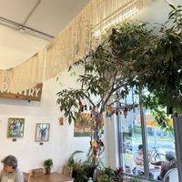   at Under the Mango Tree in Miami Beach