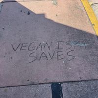   at Under the Mango Tree in Miami Beach