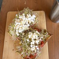   at Under the Mango Tree in Miami Beach