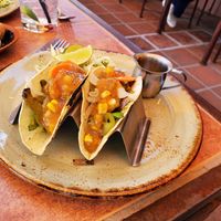 Half order veggie tacos at Tonto Bar and Grill in Cave Creek