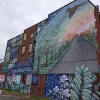 Just around the building at Black Kite Coffee and Pies in Toledo