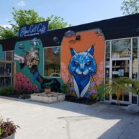 outside at Blue Cat Cafe in Austin