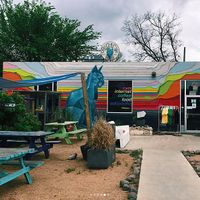 Blue Cat Cafe at Blue Cat Cafe in Austin