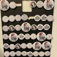 Pins at Vegan Dukkan - The Mini Market in Istanbul