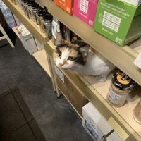   at Vegan Dukkan - The Mini Market in Istanbul