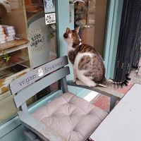   at Vegan Dukkan - The Mini Market in Istanbul