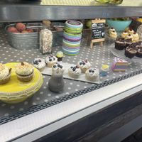 Showcase  at Dulcamara Bio Vegan Bistrot in Verona