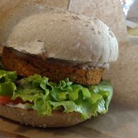 Burger at Dulcamara Bio Vegan Bistrot in Verona