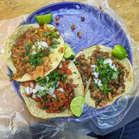  at Viko in Mexico City